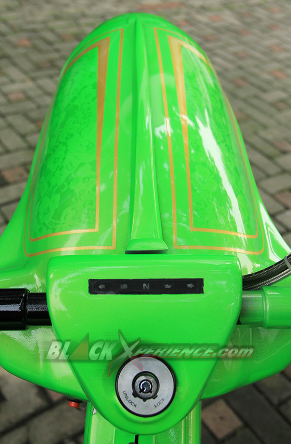 Front fender custom