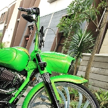 Tampang samping depan H-D Roadking