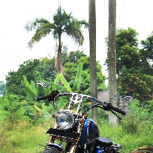 Honda Tiger bergaya chopper