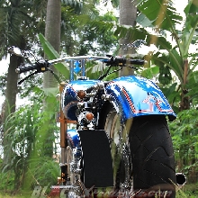 Lebih kekar dipandang dari belakang