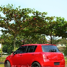 Upgrade Mesin Swift Raih Catatan Waktu 9,2 Detik