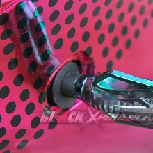 Kawasaki Ninja250 Chrome Spray Sengaja Didesain Untuk Wanita