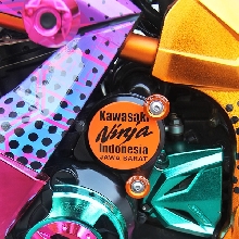Kawasaki Ninja250 Chrome Spray Sengaja Didesain Untuk Wanita