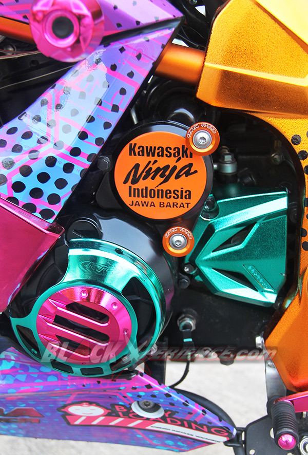Kawasaki Ninja250 Chrome Spray Sengaja Didesain Untuk Wanita