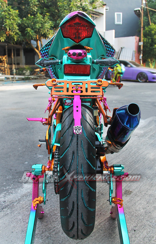 Kawasaki Ninja250 Chrome Spray Sengaja Didesain Untuk Wanita