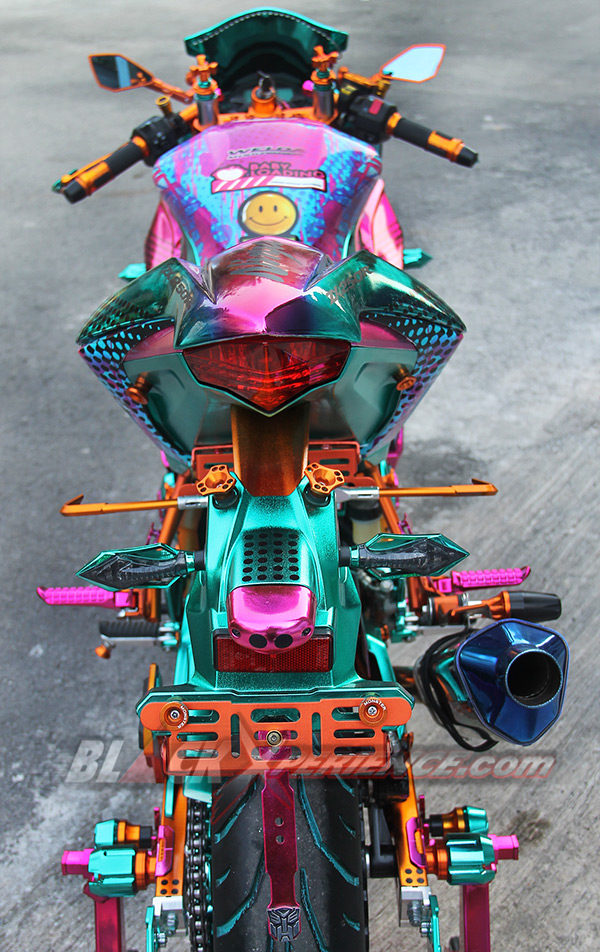 Kawasaki Ninja250 Chrome Spray Sengaja Didesain Untuk Wanita