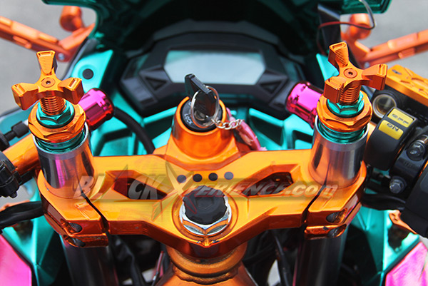 Kawasaki Ninja250 Chrome Spray Sengaja Didesain Untuk Wanita