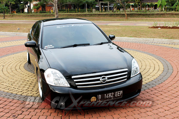 Bidik Too Damn Low Via Teana