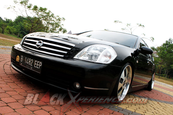 Bidik Too Damn Low Via Teana