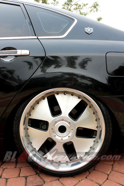 Bidik Too Damn Low Via Teana