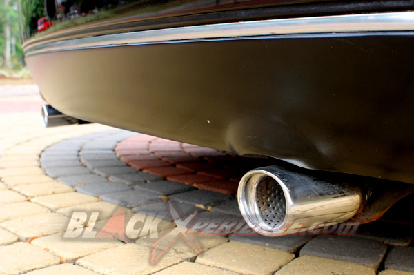 Bidik Too Damn Low Via Teana