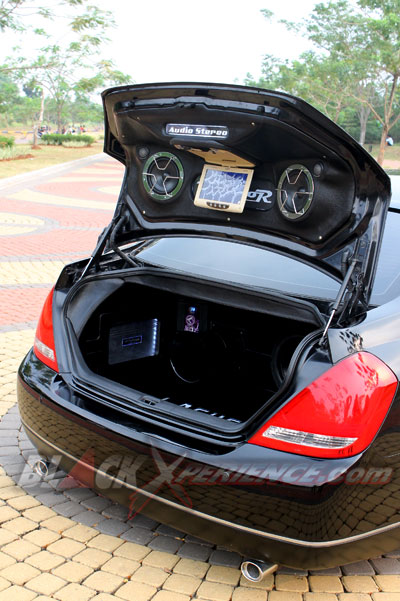 Bidik Too Damn Low Via Teana