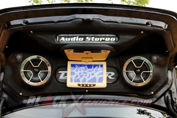 Bidik Too Damn Low Via Teana