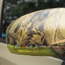 Spion dibalut hidrografis