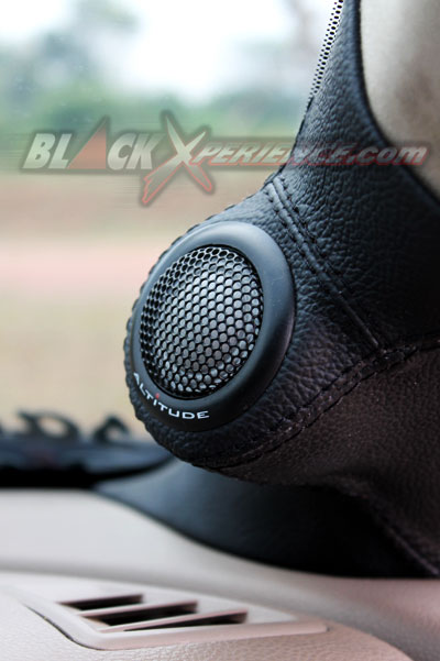 Bidik Too Damn Low Via Teana