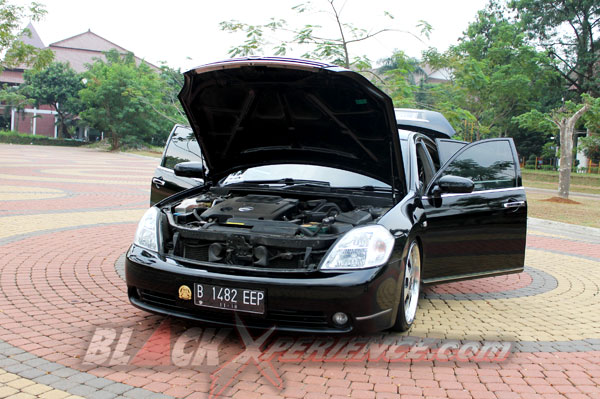 Bidik Too Damn Low Via Teana