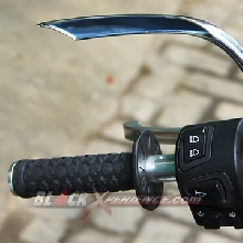 Spion Custom Harley Davidson