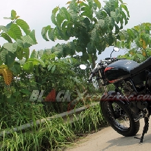 Tampilan samping Yamaha Scorpio tracker