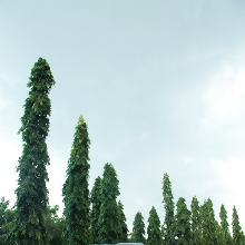 Kesan garang begitu terlihat