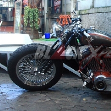 Harley Davidson Bad boy