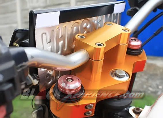 Garapan "Nyeleneh" Puspa Kediri