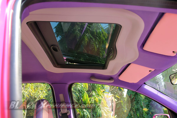 Sunroof Webasto