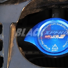 Radiator prtotection Skunk2 Racing