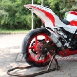 Elegant Sporty Ninja 250R