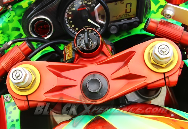 Witjak Ekspresikan Diri dengan Ninja 250