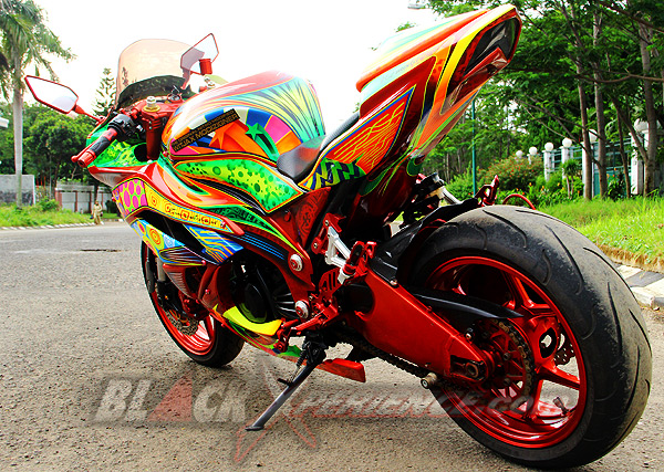 Witjak Ekspresikan Diri dengan Ninja 250