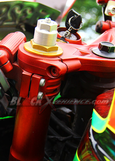 Witjak Ekspresikan Diri dengan Ninja 250