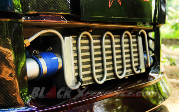 Yaris Ekstrim, Sentuh Semua Sektor