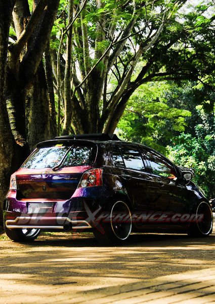 Yaris Ekstrim, Sentuh Semua Sektor