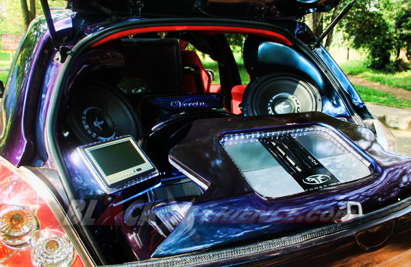 Yaris Ekstrim, Sentuh Semua Sektor