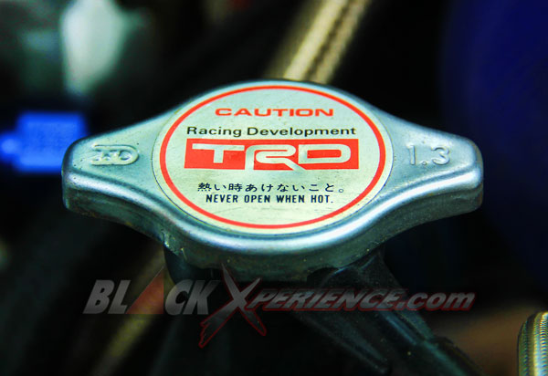 Yaris Ekstrim, Sentuh Semua Sektor