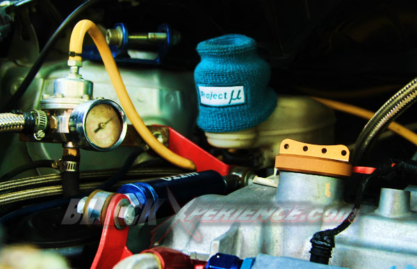 Yaris Ekstrim, Sentuh Semua Sektor