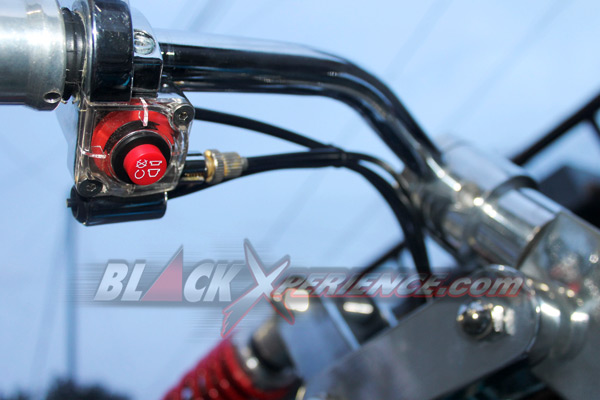 Honda PCx125 Sangkuriang Ala Peterson