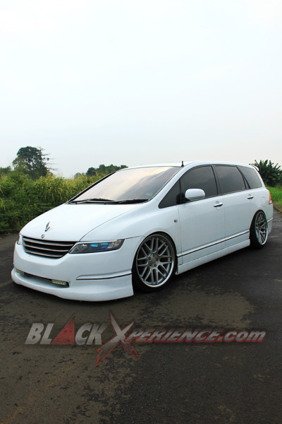 Honda Odyssey Elegant Full Kosmetik