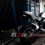 Cita Rasa Naked Bike Versi Minerva SACHS 250