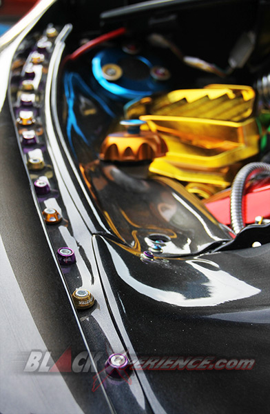 Yaris Coupe The Best Paint 2014