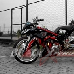 Duck Fighter Wins Paddock Yang Kontroversial