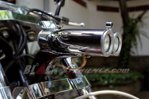 Fat Boy Harley-Davidson, Konstruksi Frankestein Trikes USA