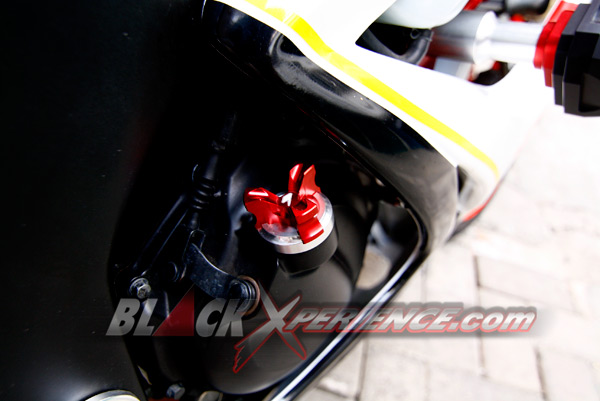 Kloning Suzuki GSX R600 Untuk Ninja 250