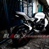 Cita Rasa Naked Bike Versi Minerva SACHS 250