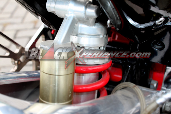 Duck Fighter Win's Paddock Yang Kontroversial