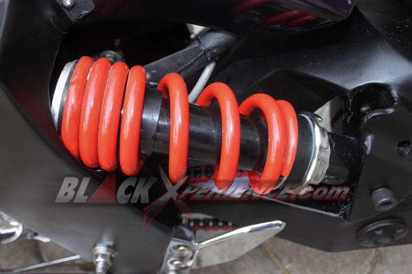 Vixion Bulls Win's Perkawinan Chopper dan Fighter