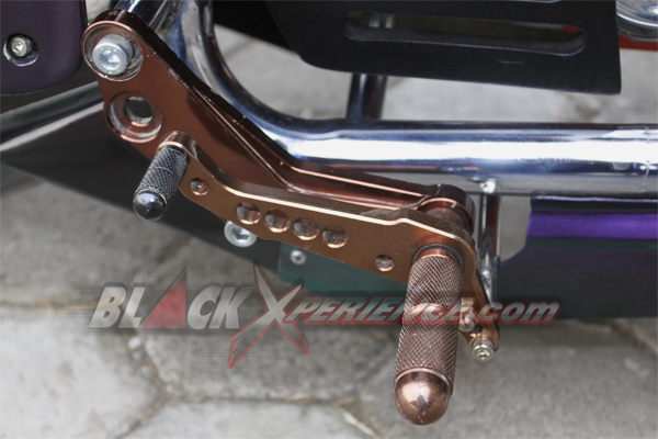 Vixion Bulls Win's Perkawinan Chopper dan Fighter