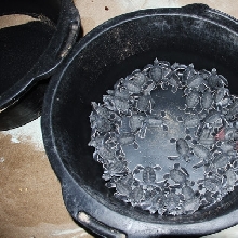 OSC Goes To Ujung Genteng